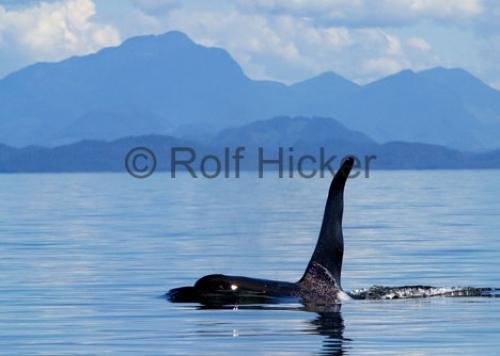 Photo: 
CRW 9261