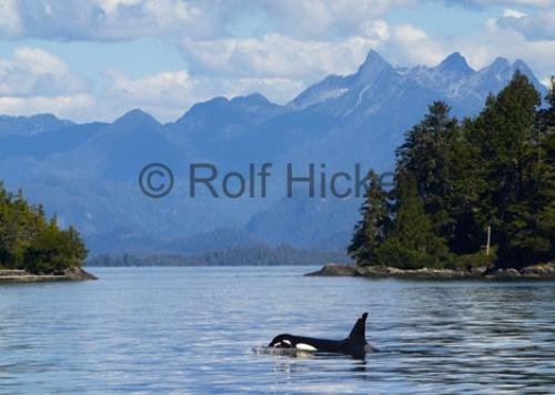 Photo: 
CRW 9284