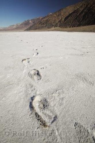 Photo: 
Picture Of Desert Salt Footprints