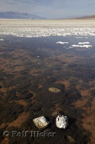 Photo: 
desert ecosystem