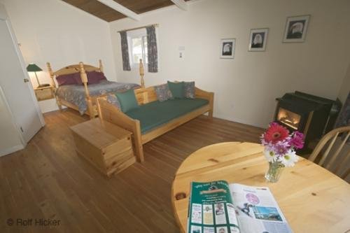 Photo: 
brackendale