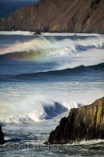 Photo: 
ecola state park image