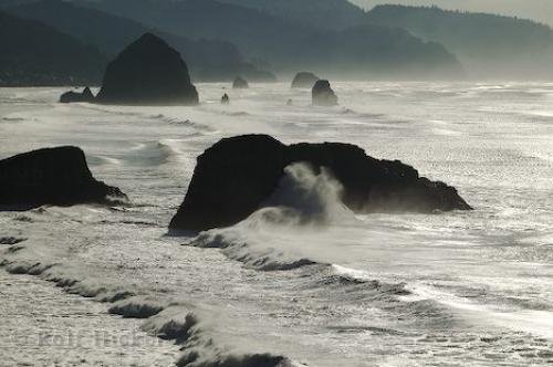 Photo: 
ecola state park photos