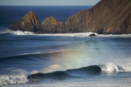 Photo: 
ecola state park picture