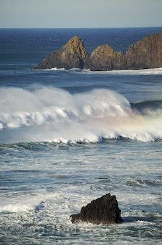 Photo: 
ecola state park pictures