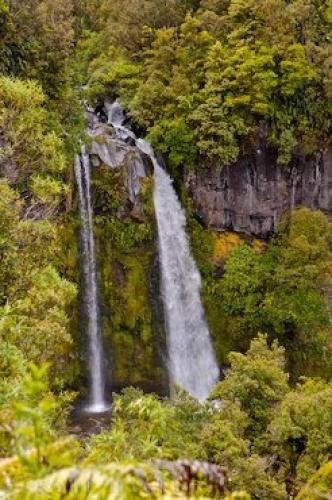 Photo: 
Beautiful Waterfall Kapuni Stream Egmont National Park New Zealand