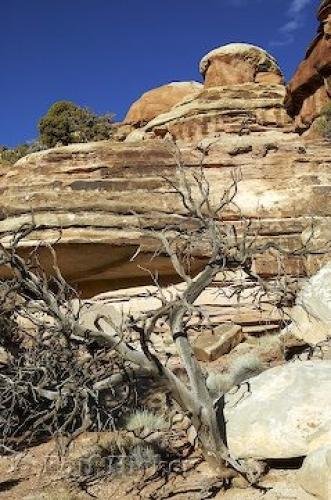 Photo: 
Elephant Hill Canyonlands