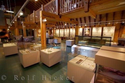 Photo: 
Exhibits Newfoundland Insectarium And Butterfly Pavilion