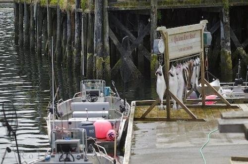 Photo: 
Winter Harbour Dock