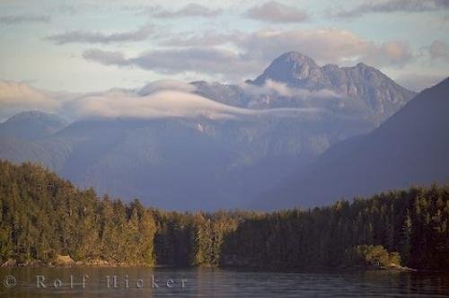 Photo: 
Vancouver Island Bays