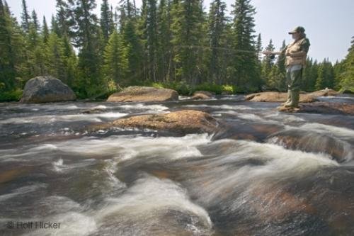 Photo: 
Fly Fishing Newfoundland