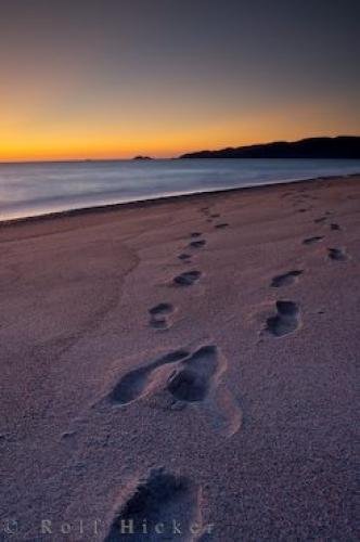 Photo: 
Footprints Sand Lake Superior Ontario At Sunset