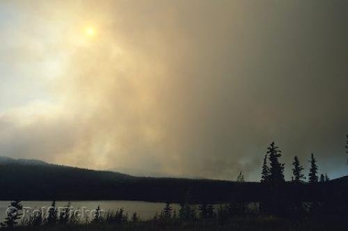 Photo: 
Forest Fire