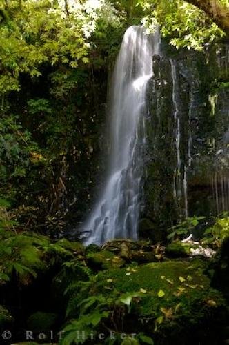 Photo: 
Forested Waterfall Southern Scenic Route New Zealand