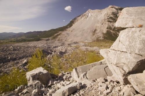 Photo: 
frank slide alberta