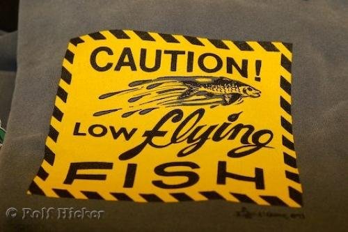 Photo: 
Low Flying Fish Funny Sign