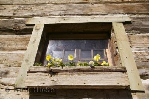 Photo: 
garden window