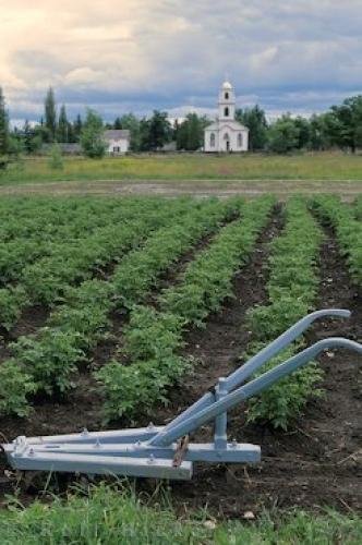 Photo: 
Gardening Upper Canada Village Ontario