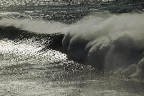 Photo: 
giant wave