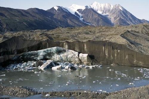 Photo: 
Glacier Kluane National Park