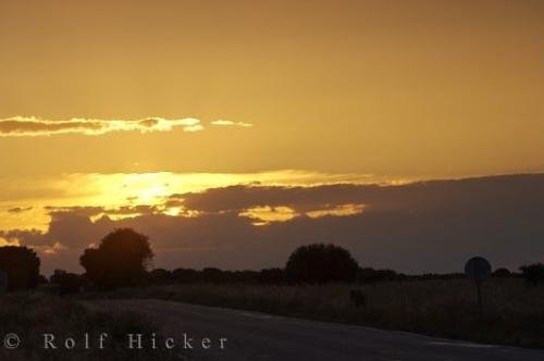 Photo: 
Golden Sunset