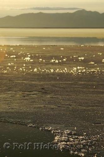 Photo: 
Semi frozen Great Salt Lake Photo