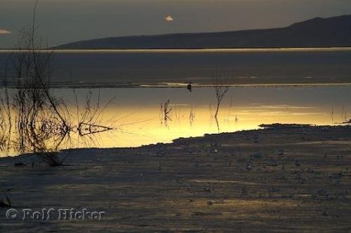 Photo: 
great salt lake sunset