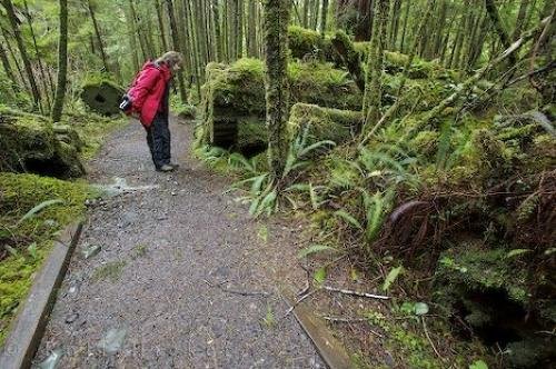 Photo: 
Hiking Cape Scott