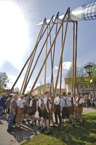 Photo: 
Historic May Tree