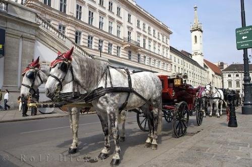 Photo: 
Horse Buggies