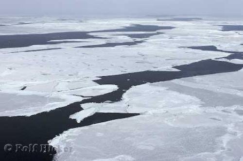 Photo: 
Ice Floes