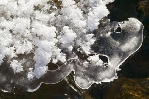 Photo: 
ice formations