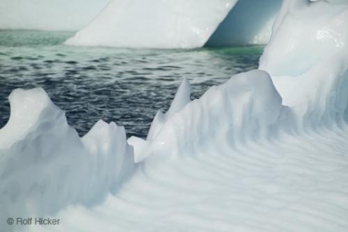 Photo: 
Iceberg Of Newfoundland