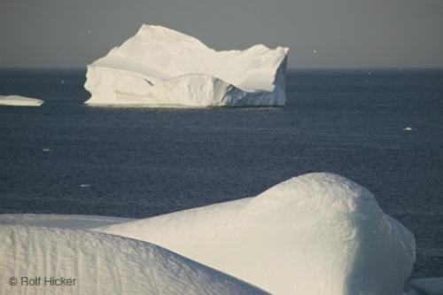 Photo: 
Floating Iceberg iceberg Alley