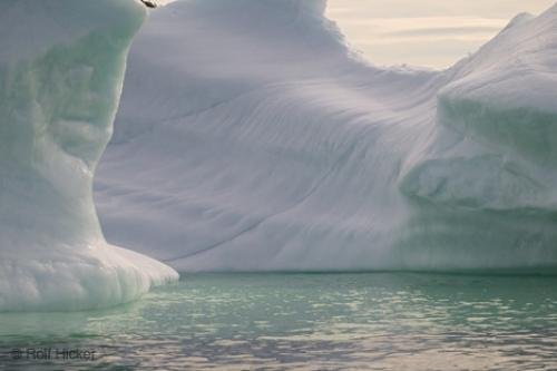 Photo: 
Iceberg Details