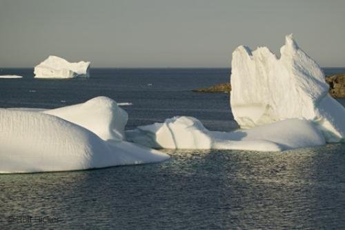 Photo: 
Icebergs Stranded Shoreline