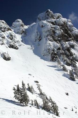 Photo: 
Snowcapped Mount Cain