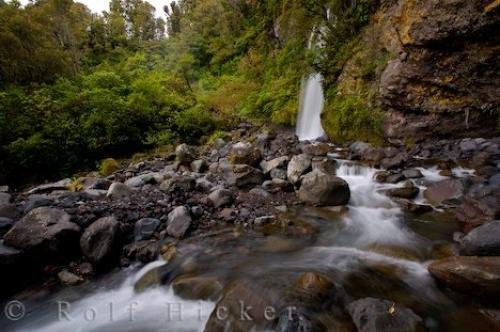 Photo: 
Kapuni Loop Track Dawson Falls Taranaki New Zealand