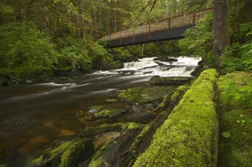 Ketchikan Alaska River | Photo, Information