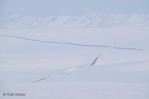 Photo: 
Arctic Landscape North Slope Alaska