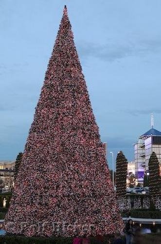 Photo: 
Las Vegas Christmas Vacation