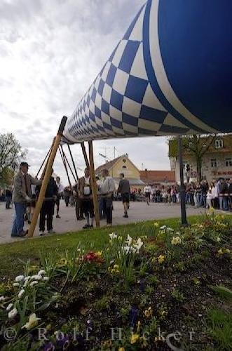 Photo: 
Maibaum Festival