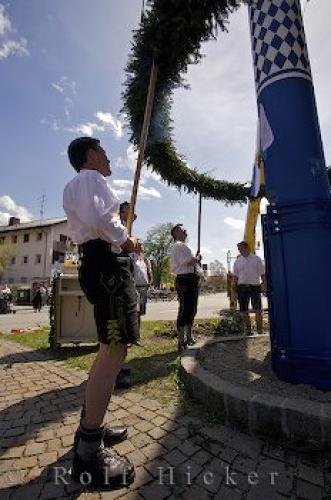 Photo: 
Maibaum Greenery