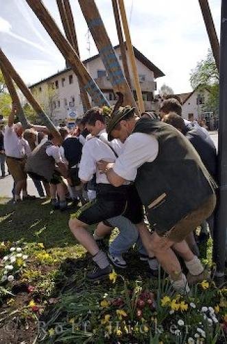 Photo: 
Maibaum Poles