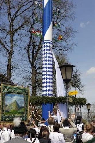 Photo: 
Maibaum Victory