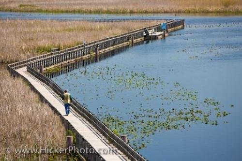 Photo: 
Marsh Boardwalk Point Pelee National Park Ontario