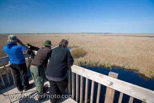 Photo: 
Tourists Marshland Bird Watching Leamington Ontario