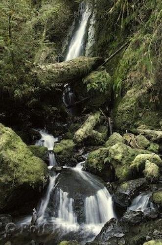 Photo: 
merriman falls images