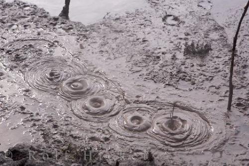 Photo: 
Thermal Mud Bath Picture