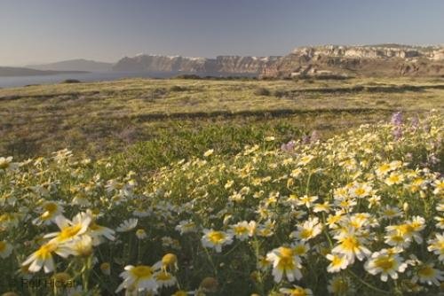 Photo: 
Nature Posters